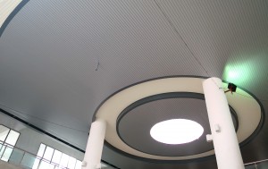 IMG_0064